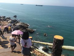 -广东惠东海龟国家级自然保护区