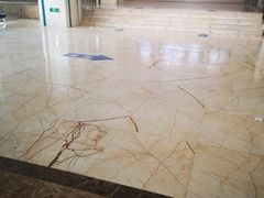 -山东省眼科医院