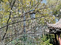 -杭州半山国家森林公园