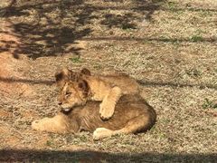 -南京金牛湖风景区