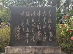 -柳侯公园