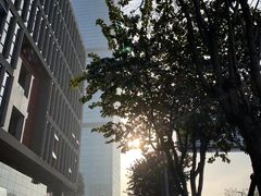 -深圳市当代艺术与城市规划馆