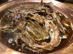 -老诚一锅羊蝎子(天通苑店)