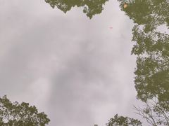 -南山植物园