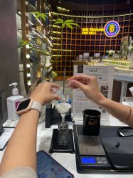 -香遇沙龙香水·调香·团建