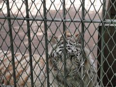 -西安秦岭野生动物园