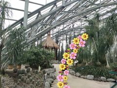 -南山植物园