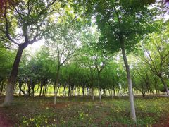 -青龙湖公园