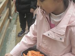 -栾川竹海野生动物园