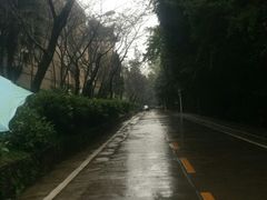 -武汉大学-樱园