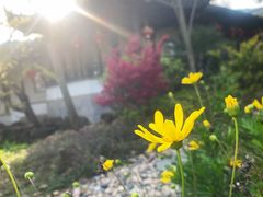 -雨花胜境