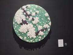 -德基艺术博物馆