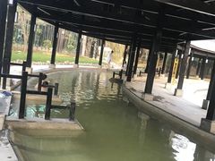 -三江森林温泉度假区