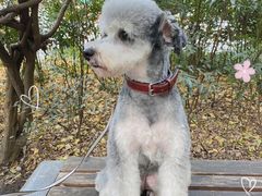 -佳雯宠物医院(金华南路分院)