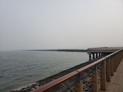 -东疆建设开发纪念公园