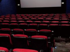 -大地影院(上海南汇店)