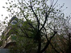 -燕江楼(燕东店)