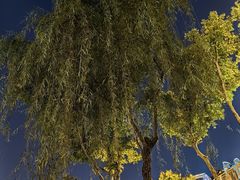 -郑远元专业修脚房(宣化路店)