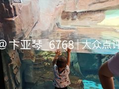 -海合安武汉极地海洋公园