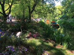 -上海共青森林公园