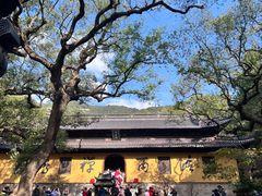 -普陀山风景名胜区-法雨禅寺