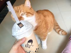 -喜茶(深圳东门1234店)
