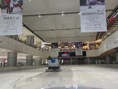 -TheRink大零溜冰场(IFS国金中心店)
