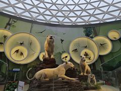 -陕西自然博物馆