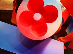 -新世界百货(明洞总店)