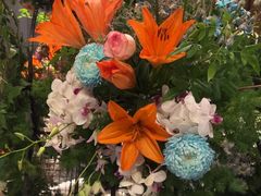 -浅深Cheersum(曹杨店)