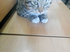 android_upload_pic-黑龙江大学