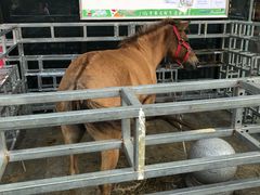 -友阿国际广场(邵阳店)