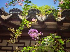 -上海醉白池公园