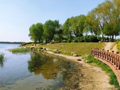 -丁香湖公园