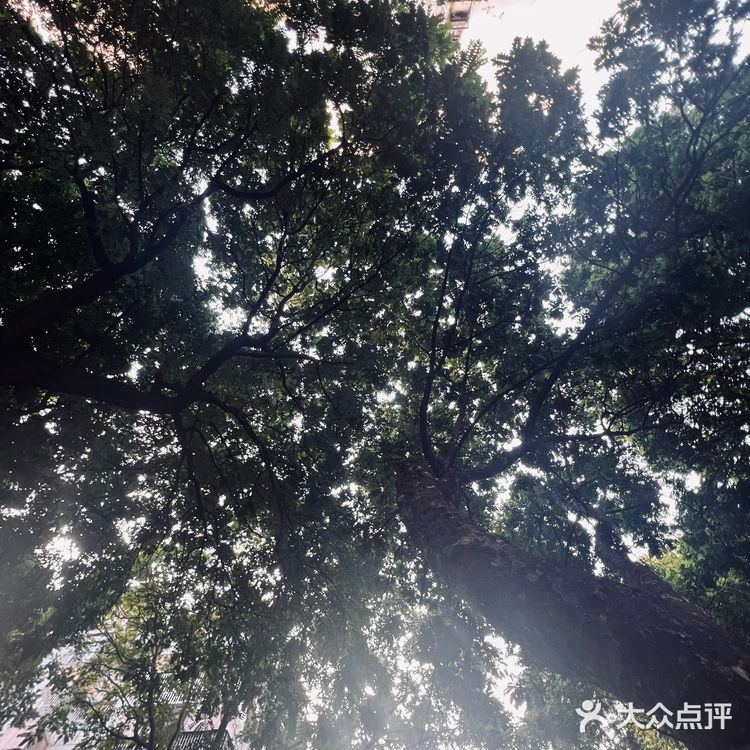 午后偷懒咖啡时间