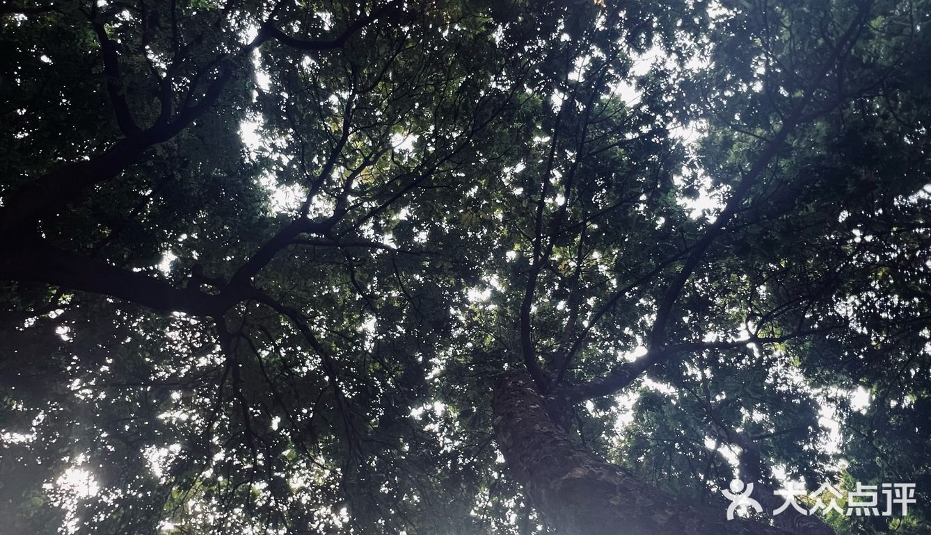 午后偷懒咖啡时间