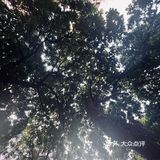 午后偷懒咖啡时间