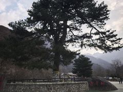 -秦岭终南山世界地质公园翠华山景区