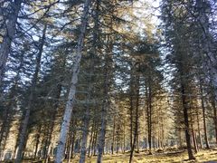 -硗碛藏寨·神木垒景区