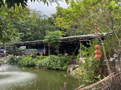 -南海鸽天下(肇庆店)