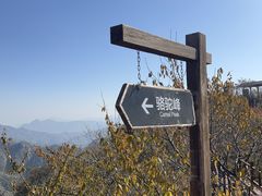 -大岭沟猕猴桃谷风景区