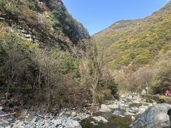 -少华山国家森林公园