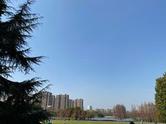 -青枫公园