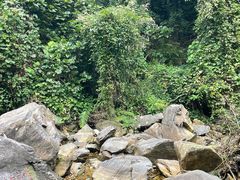 -鼎湖山风景区