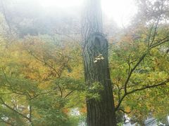 -狼山风景名胜区