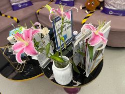 -联合丽格·张菡丽格医疗美容