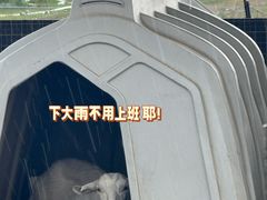 -希拉穆仁草原