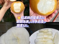 -郴州特产舜华临武鸭(郴州西站店)