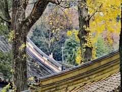 -狼山风景名胜区