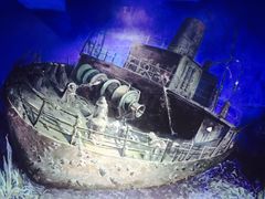 -船奇蒸汽海鲜·闽菜(八市海鲜总店)